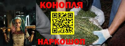 дмт Будённовск