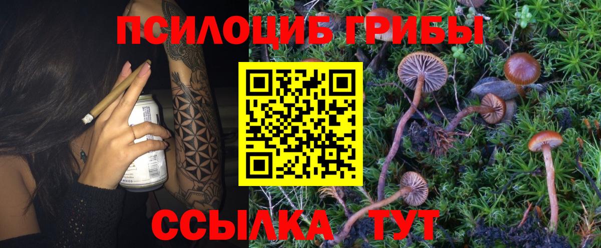 Галлюциногенные грибы Cubensis  Вход с VPN  наркота  Псилоцибиновые грибы Psilocybe  Павловский Посад 